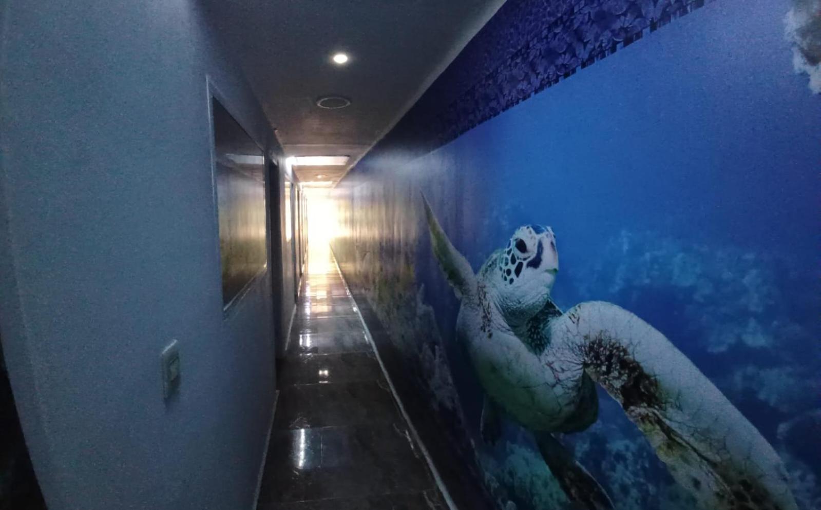 Hotel Dmauro Cartagena Exteriör bild